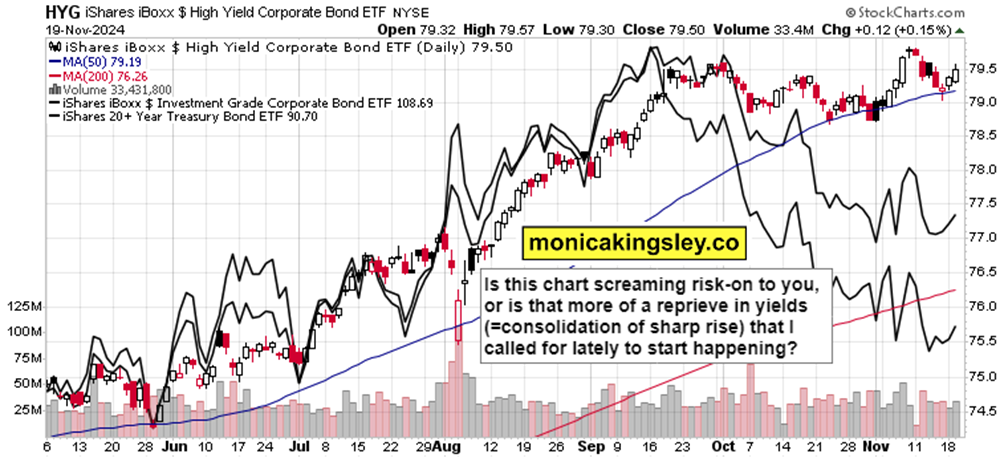 浔郁春光好 田间育苗忙