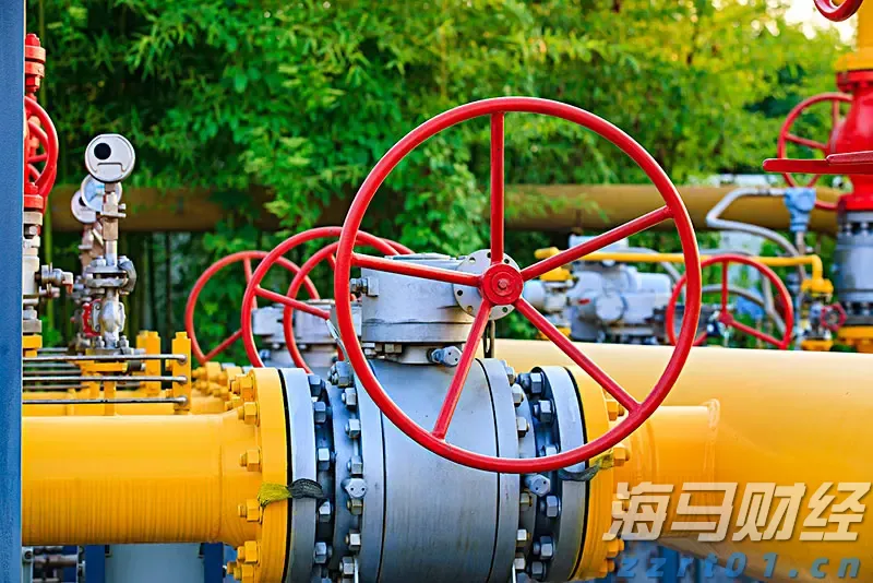 美股前瞻 | 三大股指期货涨跌不一,凌晨3点特朗普会见普京