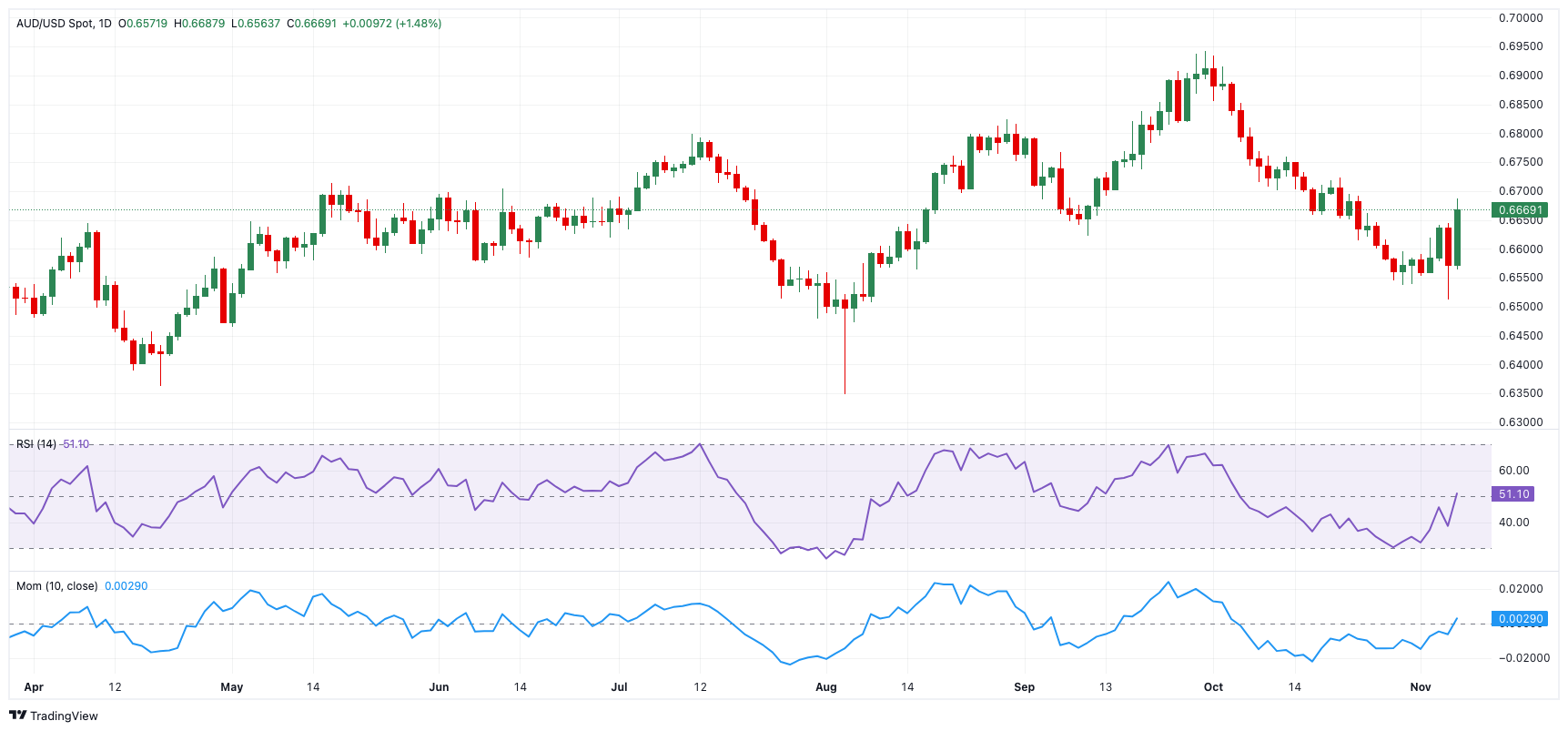广东湛江:中华白海豚种群稳定 生态保护显成效