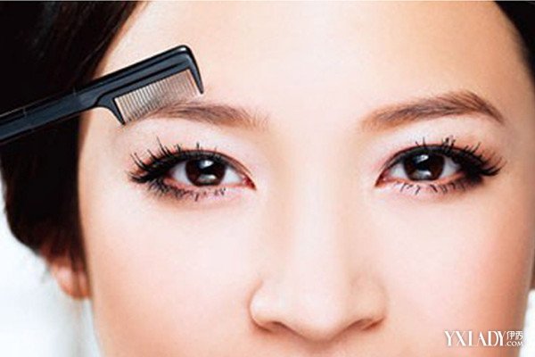 美国纽约州旅游大客车翻车 已致5人死亡数十人受伤